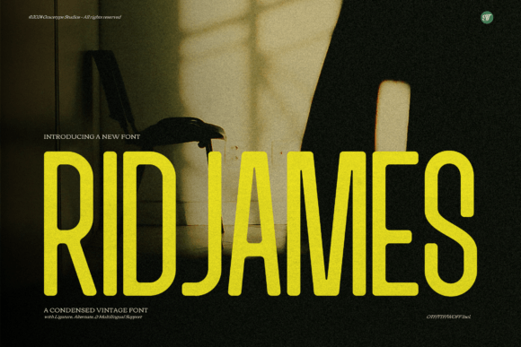 Choosing the Right Font for Impact: My Experience with Ridjames