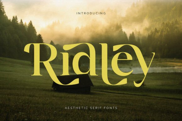 Ridley: The Font That Elevates Your Campaigns