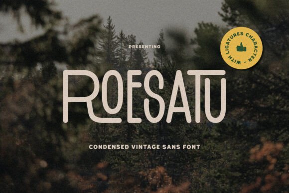 Roesatu: A Versatile Sans Serif for Campaigns
